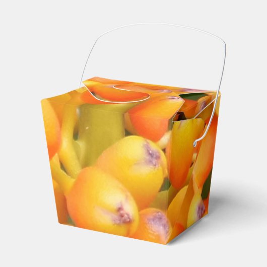 Bloemzaden nemen uit de gunst doos bedankdoosjes (Voorkant Zijde)