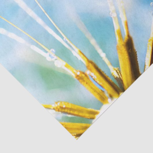 Bloerklep | Mooie Dandelion-ventilator Tissuepapier (Detail)