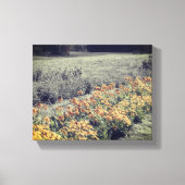 Bloertuin in zwart-wit canvas afdruk (Voorkant)