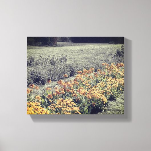 Bloertuin in zwart-wit canvas afdruk (Voorkant)