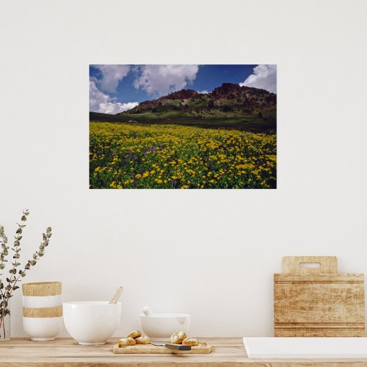 Bloervelden bij Sonora Pass, California Pink fl Poster (Keuken)