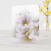 bloesdans kaart (Gele Bloem)