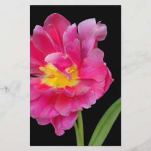 Bloesem Bloemen Party Douche Gefeliciteerd Liefde Briefpapier