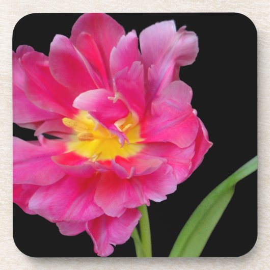 Bloesem Bloemen Party Douche Gefeliciteerd Liefde Drankjes Onderzetter (Voorkant)