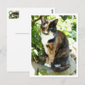 Bloesem Briefkaart (Voorkant / Achterkant)