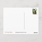 Bloesem Briefkaart (Achterkant)