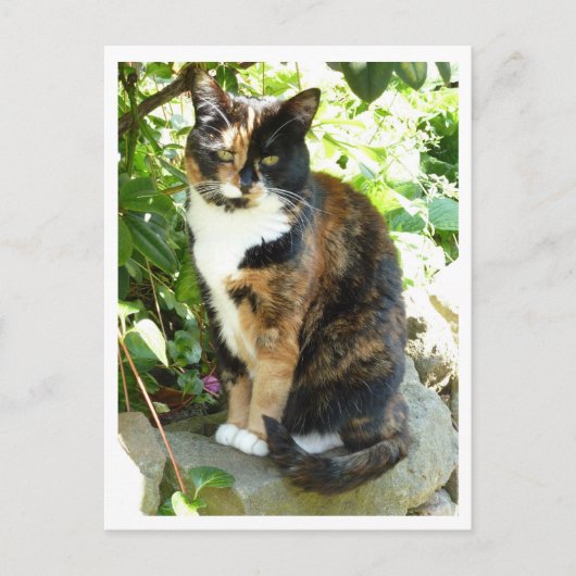 Bloesem Briefkaart (Voorkant)