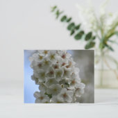 bloesem briefkaart (Staand voorkant)