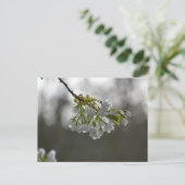 bloesem briefkaart (Staand voorkant)