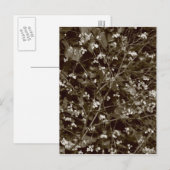 Bloesem Briefkaart (Voorkant / Achterkant)