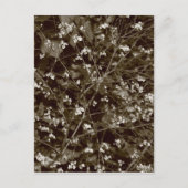 Bloesem Briefkaart (Voorkant)