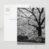 Bloesem & Fiets: Japan Briefkaart (Voorkant / Achterkant)