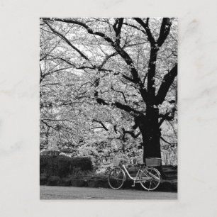 Bloesem & Fiets: Japan Briefkaart