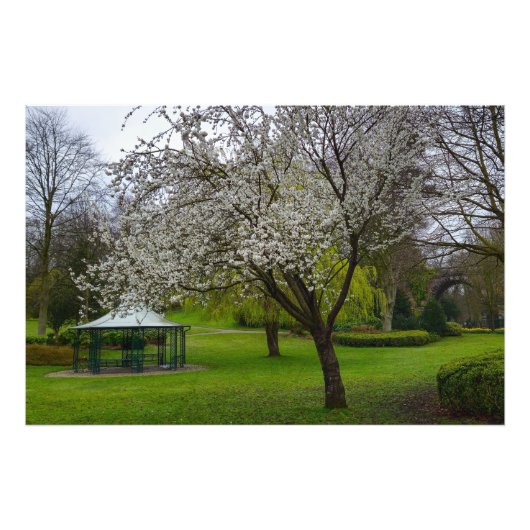 bloesem foto afdruk (Voorkant)