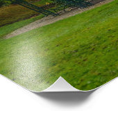 bloesem foto afdruk (Hoek)