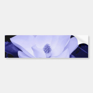 Bloesem Magnolia Bloem Bumpersticker
