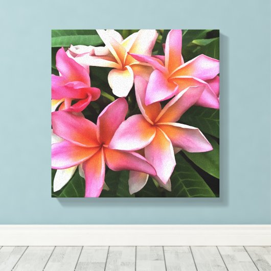 bloesem met Bleek roze Frangipani Canvas Afdruk (Insitu (Houten vloer))