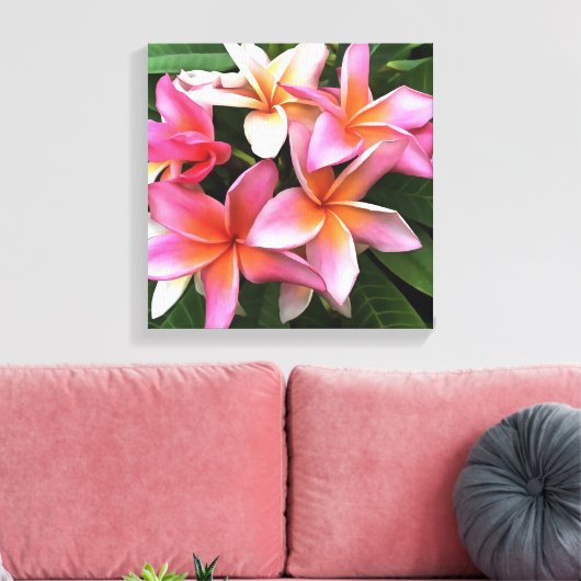 bloesem met Bleek roze Frangipani Canvas Afdruk (Insitu (Woonkamer))
