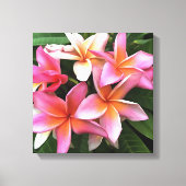 bloesem met Bleek roze Frangipani Canvas Afdruk (Voorkant)