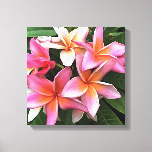 bloesem met Bleek roze Frangipani Canvas Afdruk (Voorkant)