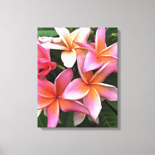 bloesem met Bleek roze Frangipani Canvas Afdruk (Voorkant)