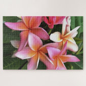bloesem met Bleek roze Frangipani Legpuzzel (Horizontaal)