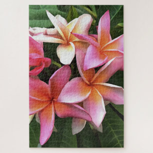 bloesem met Bleek roze Frangipani Legpuzzel