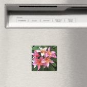bloesem met Bleek roze Frangipani Magneet (Insitu (Vaatwasser))