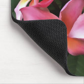 bloesem met Bleek roze Frangipani Muismat (Hoek)
