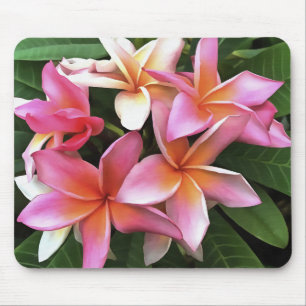 bloesem met Bleek roze Frangipani Muismat