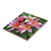 bloesem met Bleek roze Frangipani Tegeltje (Zijkant)