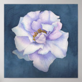 bloesem poster (Voorkant)