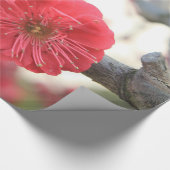 bloesem roze voorjaarsbloemen van de bloem cadeaupapier (Hoek)