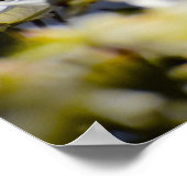 Bloesem van de Cornus, Poster (Hoek)