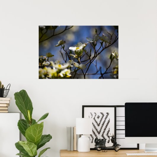 Bloesem van de Cornus, Poster (Thuiskantoor)