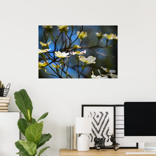Bloesem van de Cornus, Poster (Thuiskantoor)