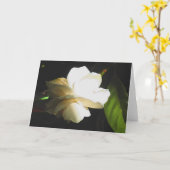 Bloesem van de Gardenia van het Ivoor van het Kaart (Gele Bloem)