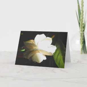 Bloesem van de Gardenia van het Ivoor van het Kaart