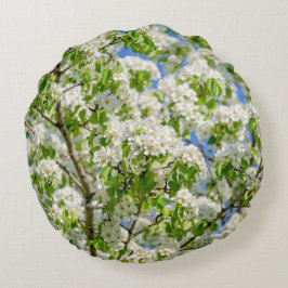 Bloesem van de wilde appel rond kussen