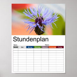 bloesem van korenbloem poster