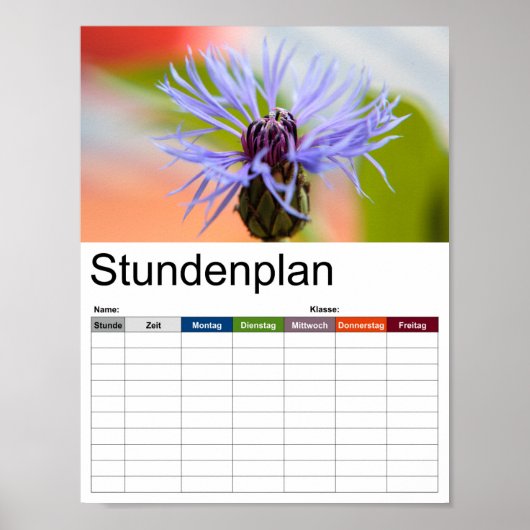 bloesem van korenbloem poster (Voorkant)