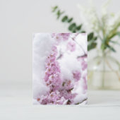 Bloesemans Postkaart (Staand voorkant)