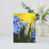 Bloesemans Postkaart (Staand voorkant)