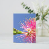 Bloesemans Postkaart (Staand voorkant)