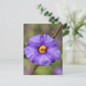 Bloesemansichtkaart Briefkaart (Staand voorkant)