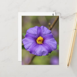 Bloesemansichtkaart Briefkaart