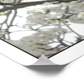 bloesems1 Poster (Hoek)