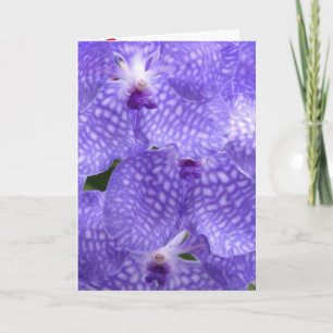 Bloesems Bloemen Orchideeën Vrede Liefde Lotsbeste Bedankkaart