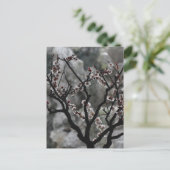 bloesems briefkaart (Staand voorkant)