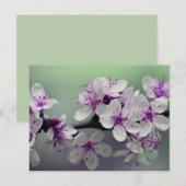 bloesems briefkaart (Voorkant / Achterkant)